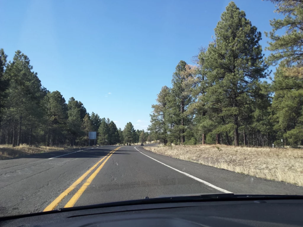 Endlose Straßen durch Wälder