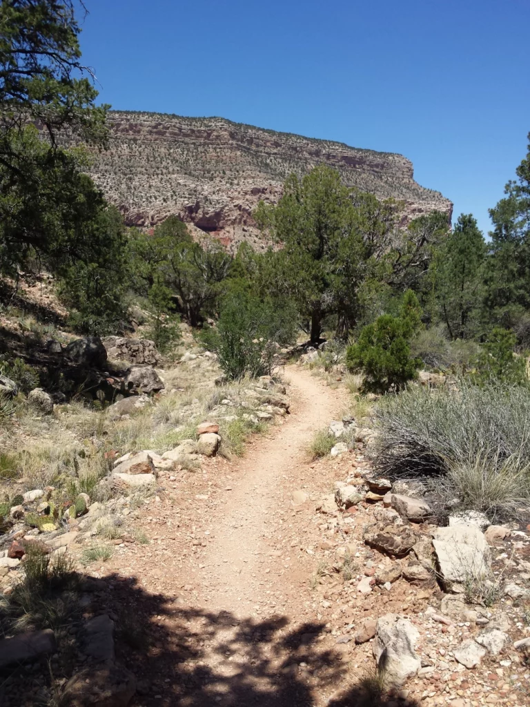 kleiner Wanderpfad am Grand Canyon
