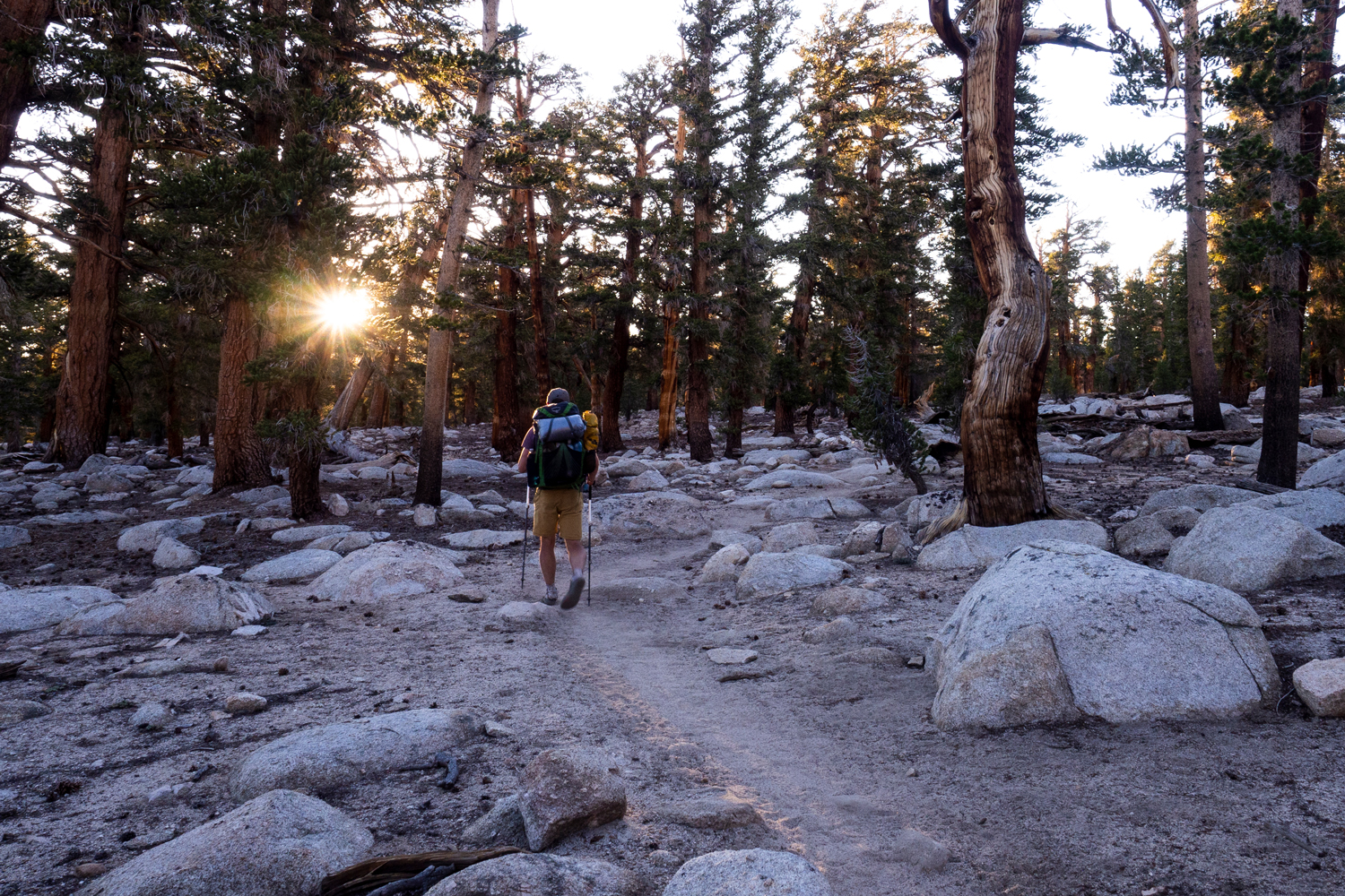 Pacific Crest Trail Etappe 2: Kennedy Meadows, Mount Whitney & Kearsarge Pass
