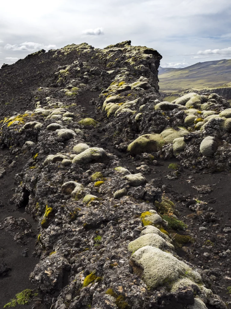 Pfad in grauer Steinlandschaft mit grünem Moos