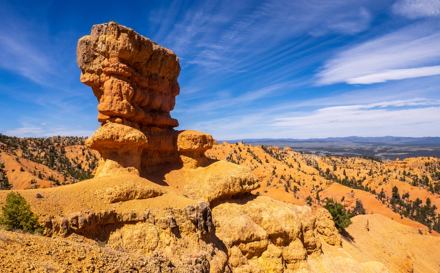 Wandern im Red Canyon in Utah: der unterschätzte kleine Bruder vom Bryce Canyon