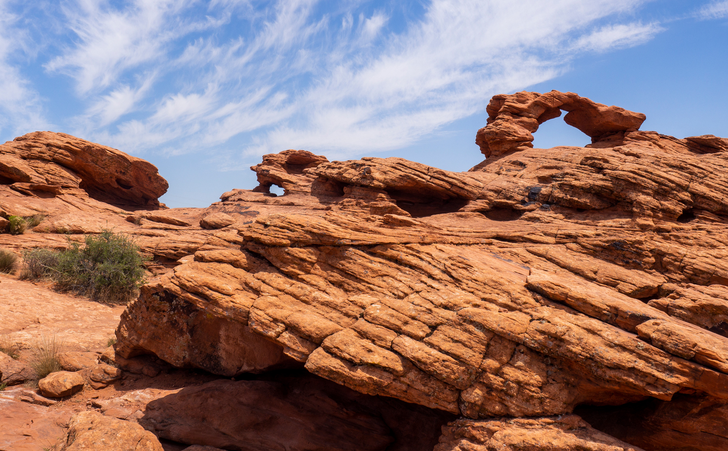 Red Cliffs National Conservation Area: Wandern & Ausflüge bei St. George