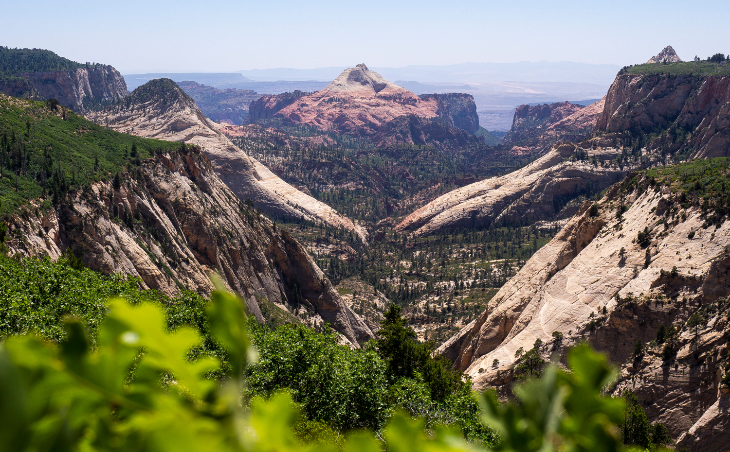 5 Tage Trekking im Zion Nationalpark – allein mit den Gedanken