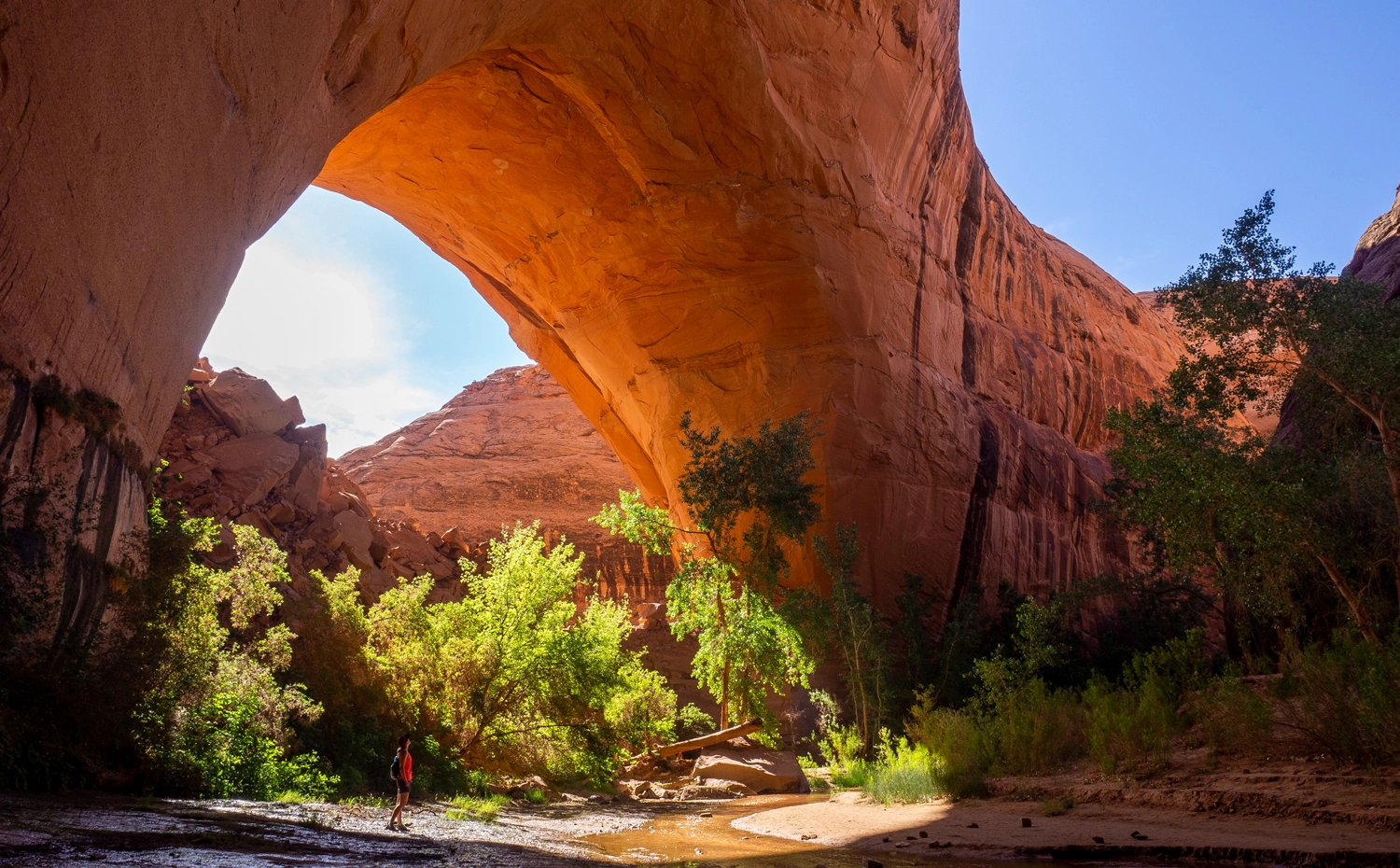 Wandern im Coyote Gulch in Utah: Guide, Route & Tourbericht