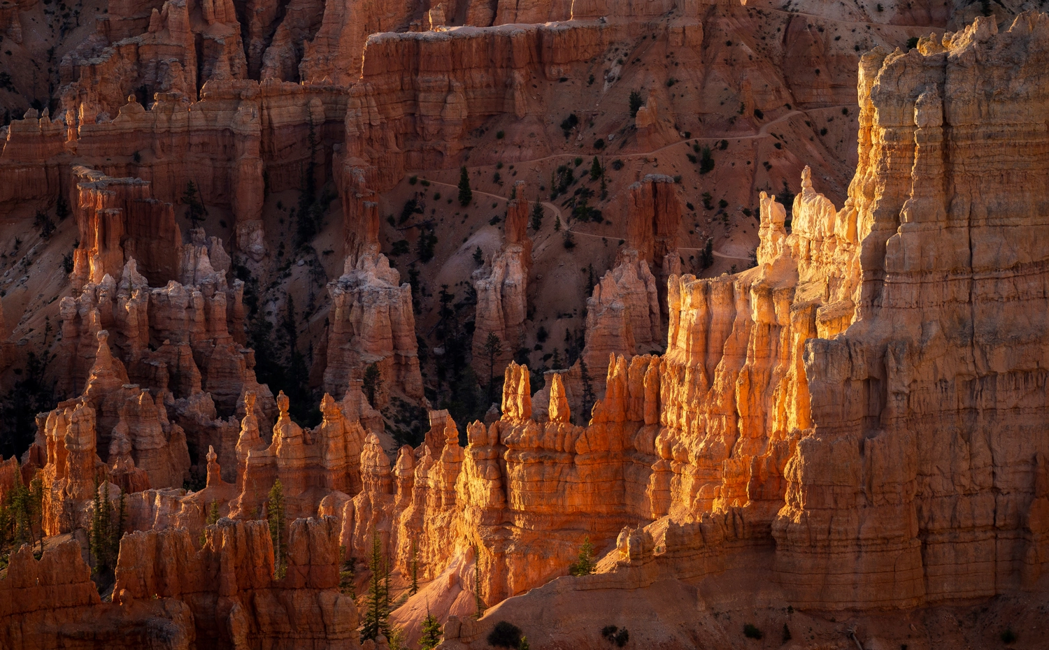 Wandern im Bryce Canyon: Die besten Routen & Tipps für deinen Besuch