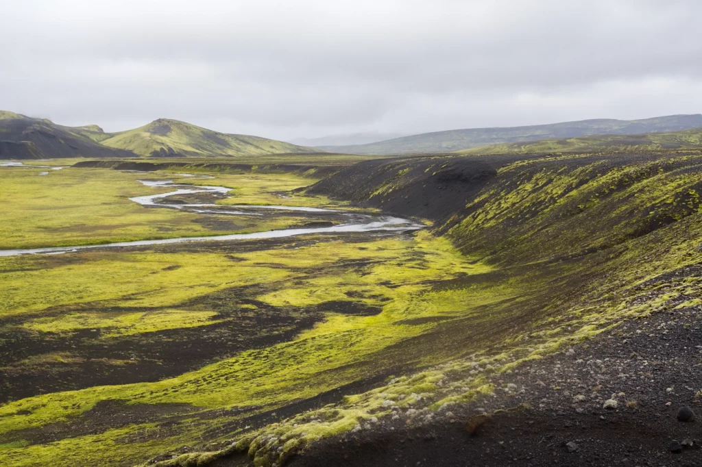 Isländische Landschaft in grau und grün