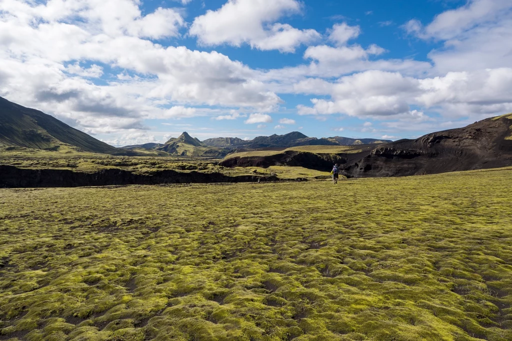 grüne Mooslandschaft mit Bergen im Hintergrund