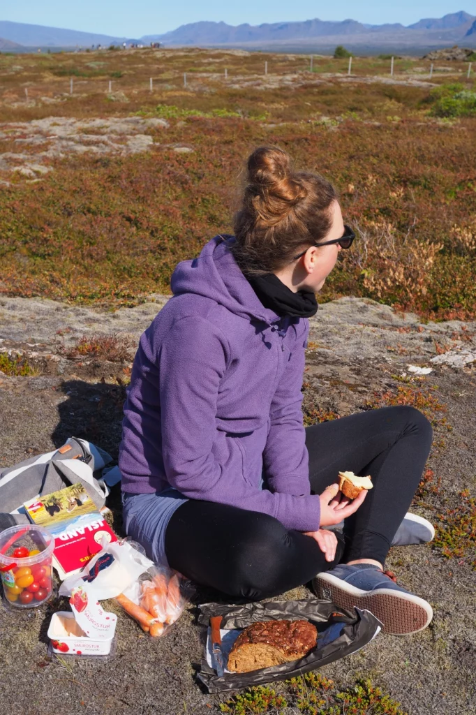 Mittagspause auf dem Island Roadtrip