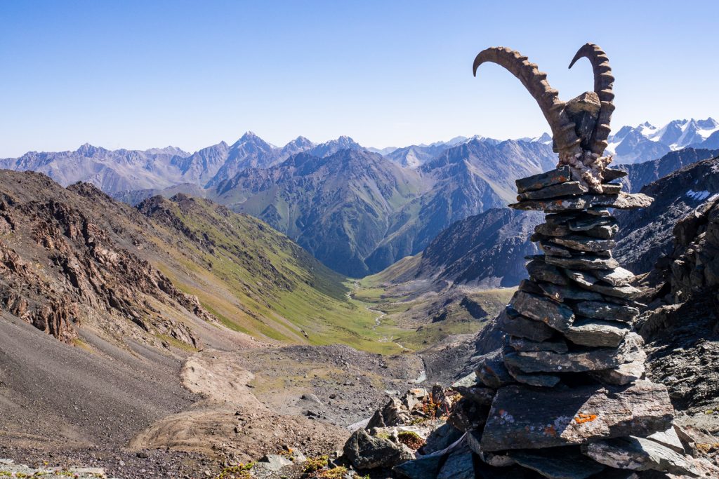 Ein Steinbock-Schädel samt Horn auf einem Steinturm