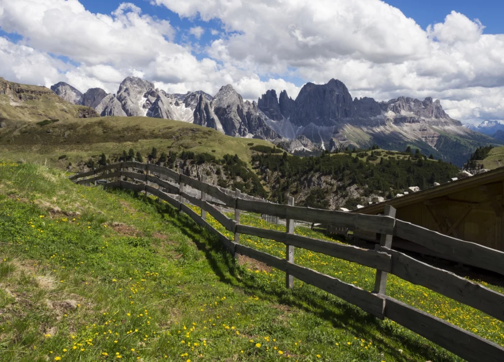 Bergzaun durch grüne Wiese, im Hintergrund das Rosengarten-Bergmassiv
