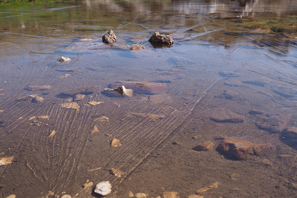 eine zugefrorene Pfütze