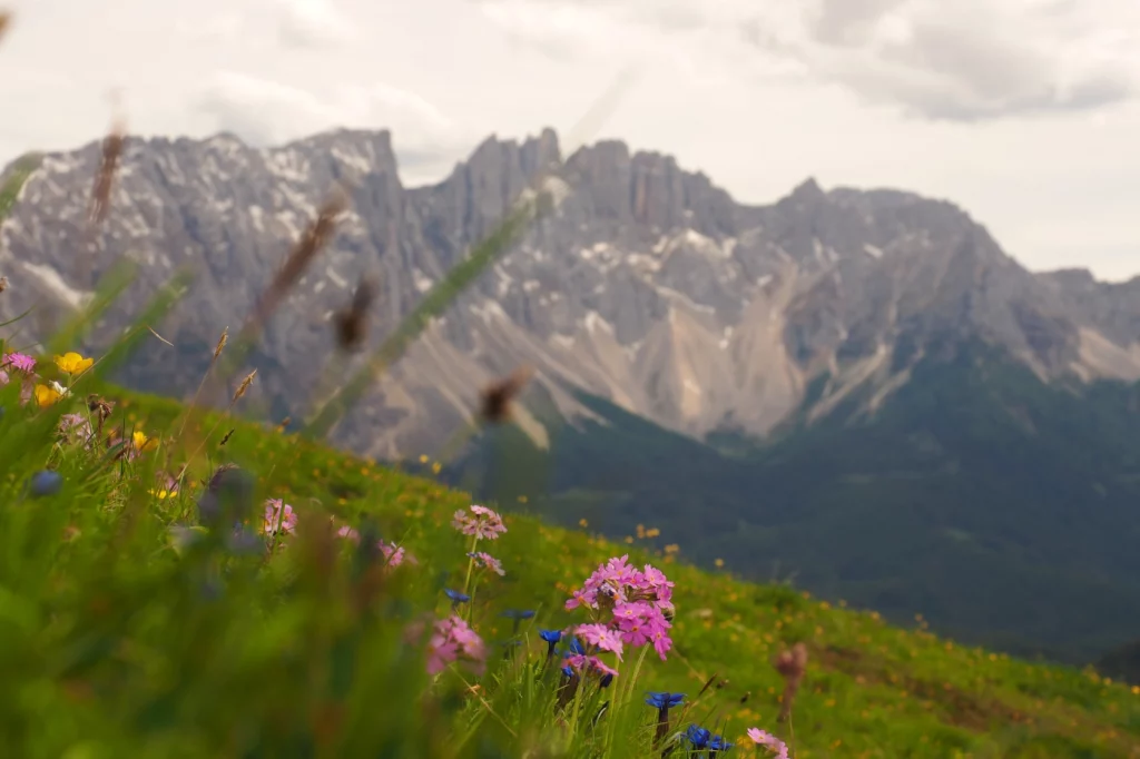 Wandern Rosengarten Südtirol mit spektakulärer Aussicht
