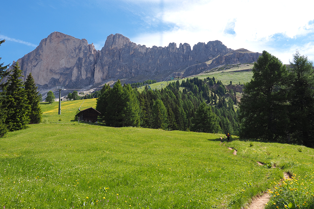 saftige Bergwiesen vor grauen Dolomiten-Felstürmen