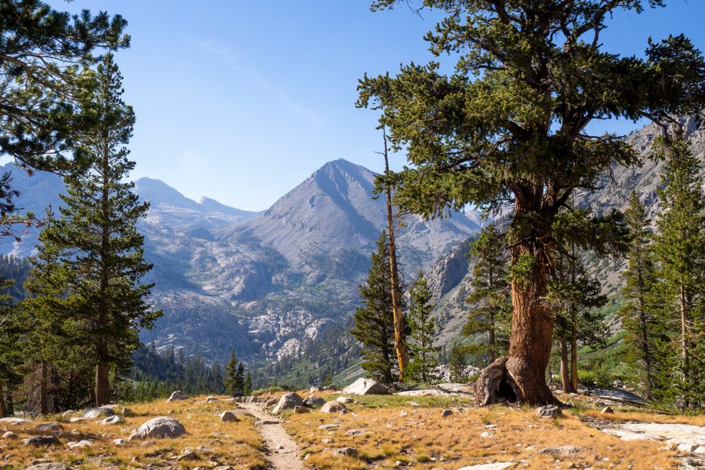 Aussicht ins Tal des South Baxter Creek