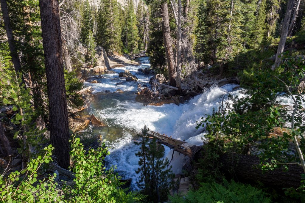 Der Middle Fork Kings River rauscht vorbei