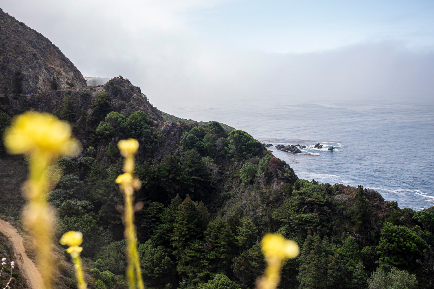 Highway 1 in Kalifornien: Roadtrip-Erfahrungen & Insidertipps