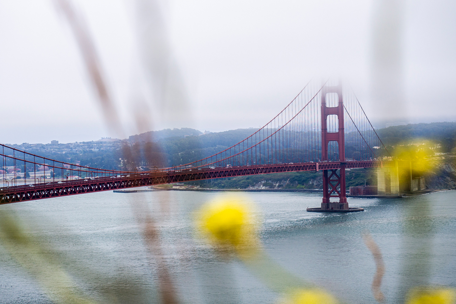 San Francisco günstig erleben – 5 Tipps für Backpacker