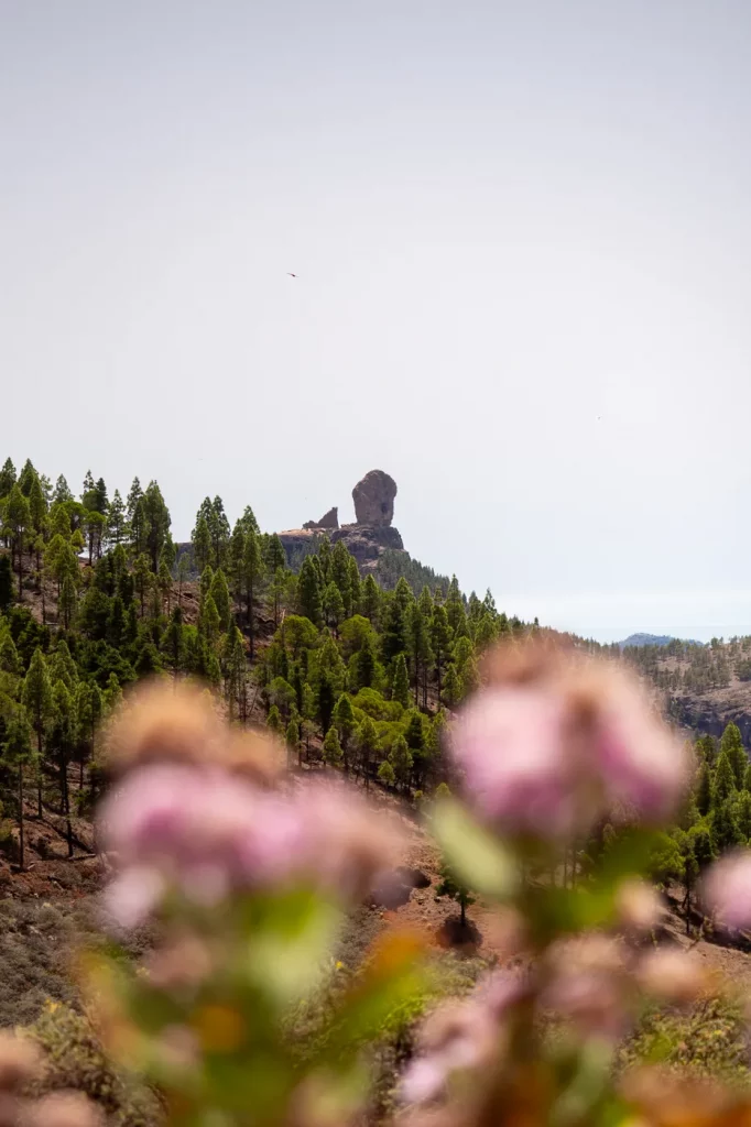 Roque Nublo in der Ferne während einer Mehrtagestour auf Gran Canaria