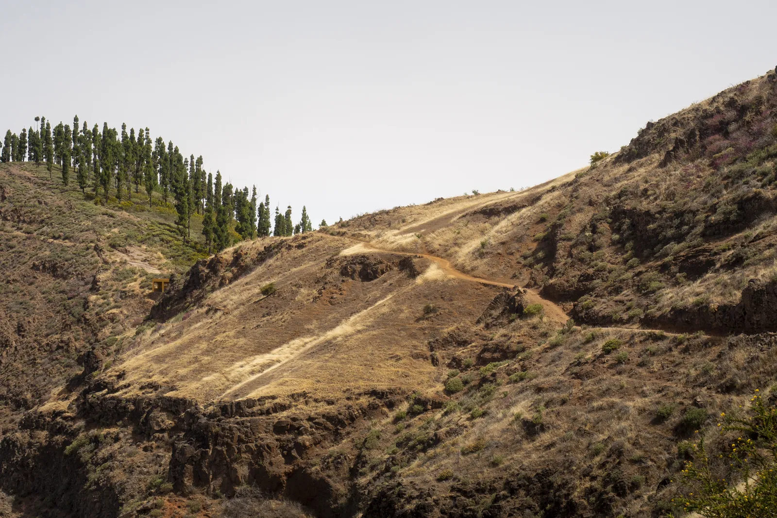Gran Canaria Inseldurchquerung: 5 Tage wandern durch wilde Berge
